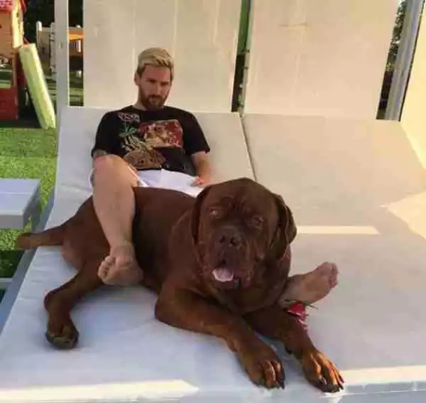 Lionel Messi Enjoys A Kick-about With His Giant Dog (Photos, Video)